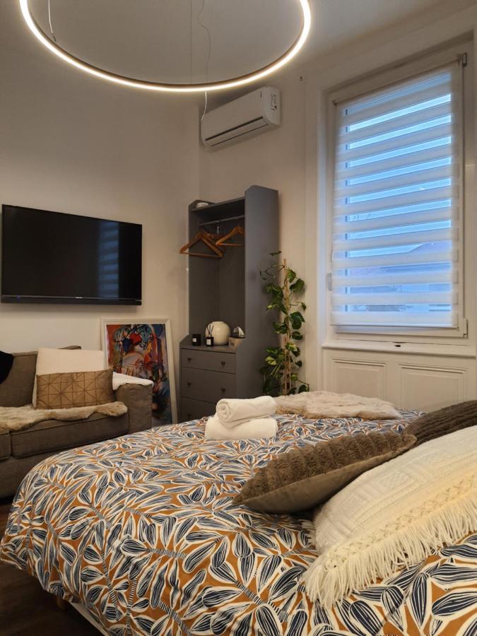 Hote Stephanois Studio, Parking& Borne Electrique Saint-Etienne  Bagian luar foto