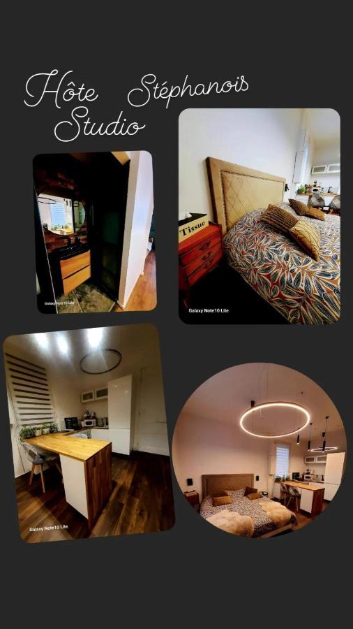 Hote Stephanois Studio, Parking& Borne Electrique Saint-Etienne  Bagian luar foto